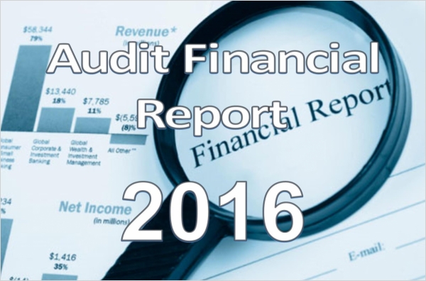 Audit Financial Report 2016