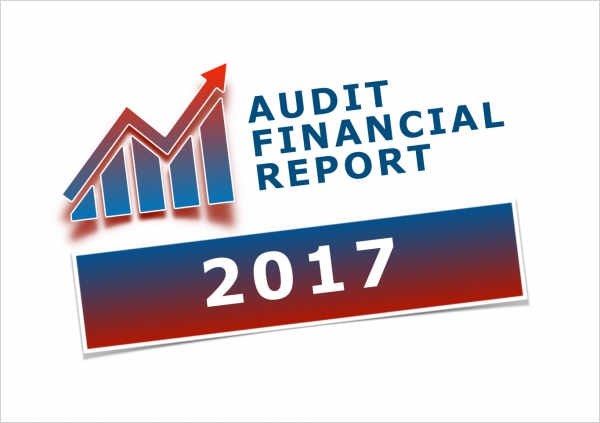 Audit Financial Report 2017