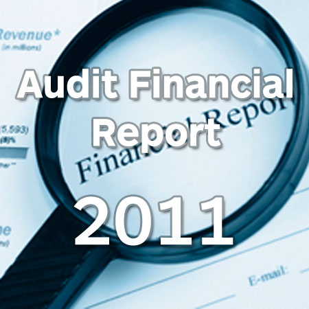 annual report 2013