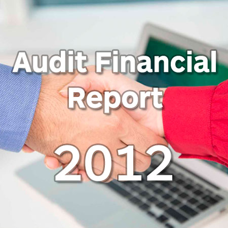 annual report 2013