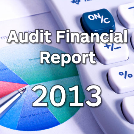 annual report 2013